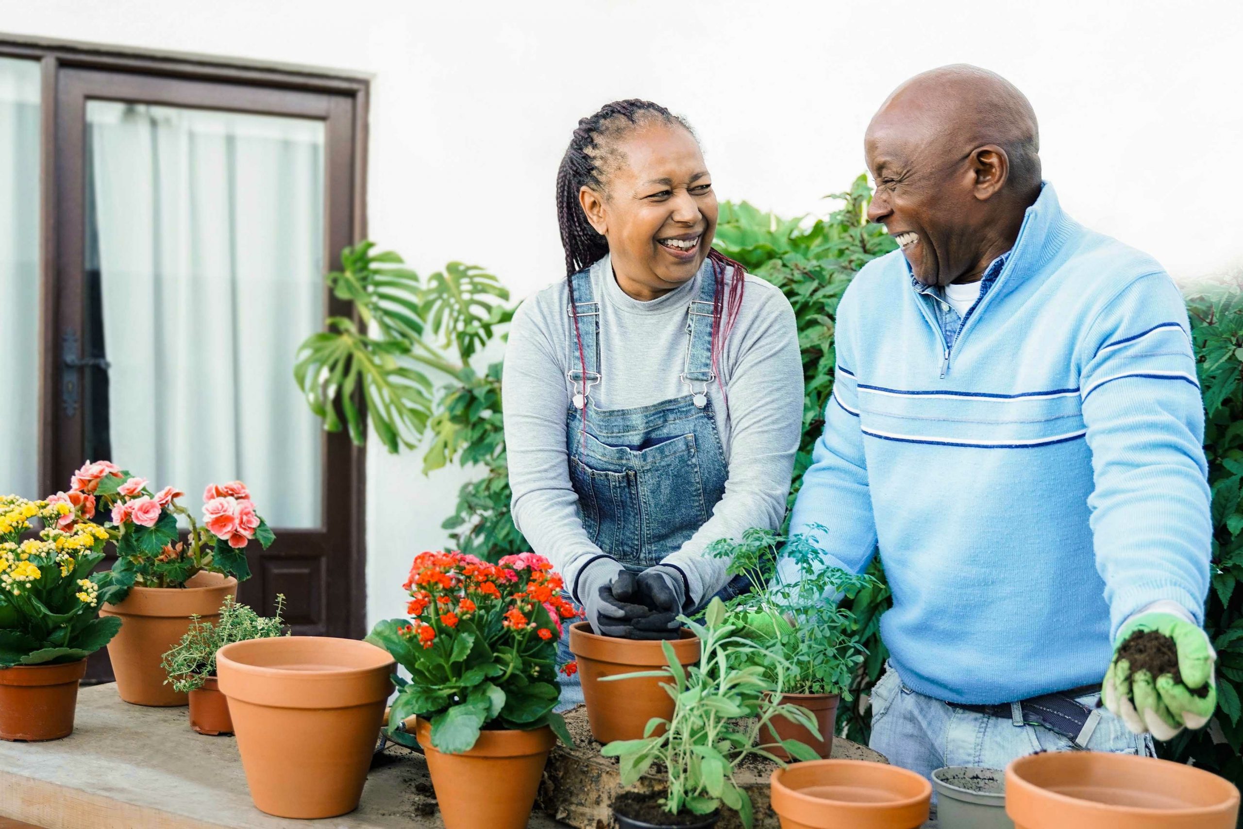 African Senior people gardening with flowers in backyard house - Couples fun and hobby concept